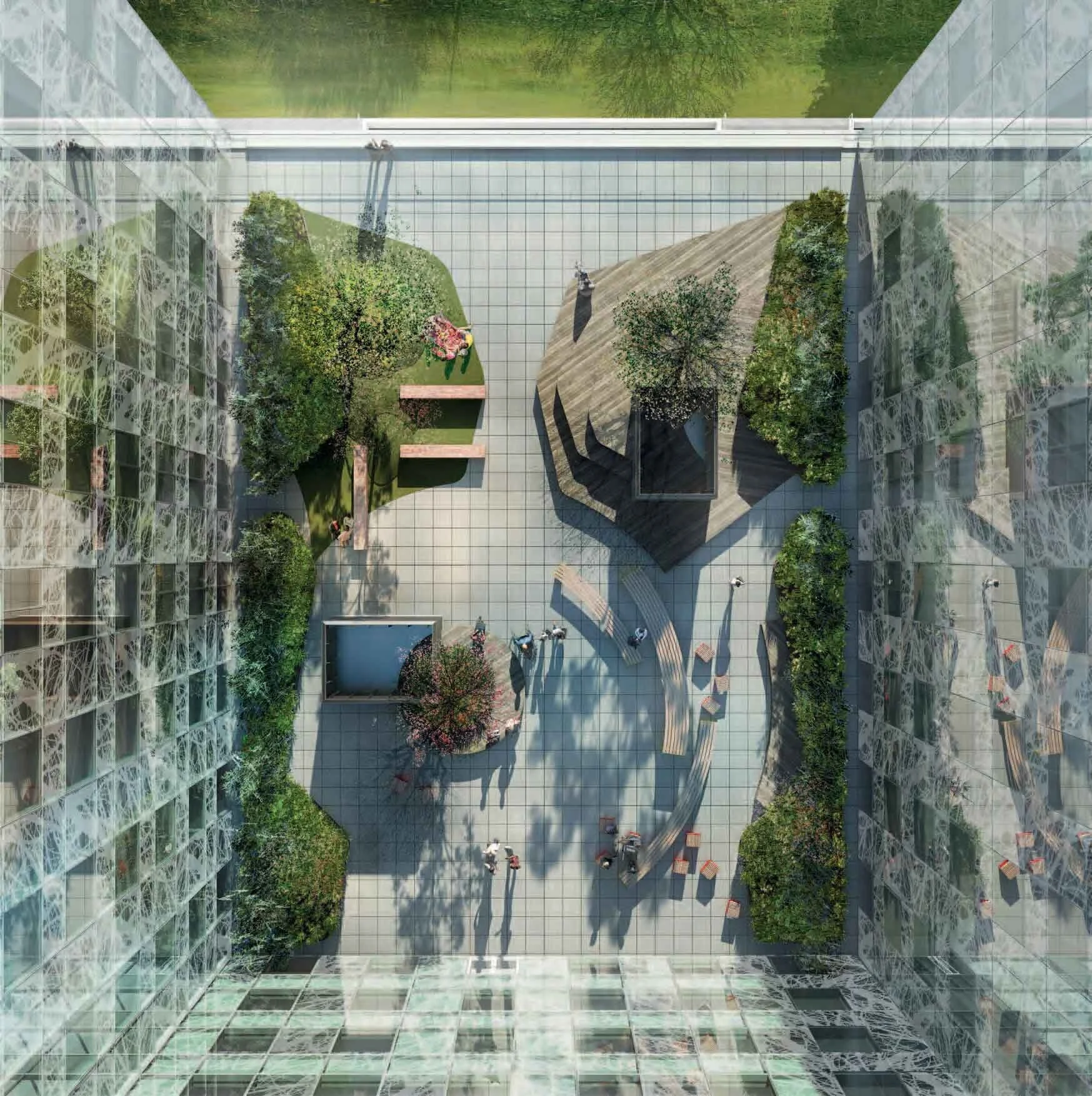 Designing for the Long View: Why Landscapes Take Time
