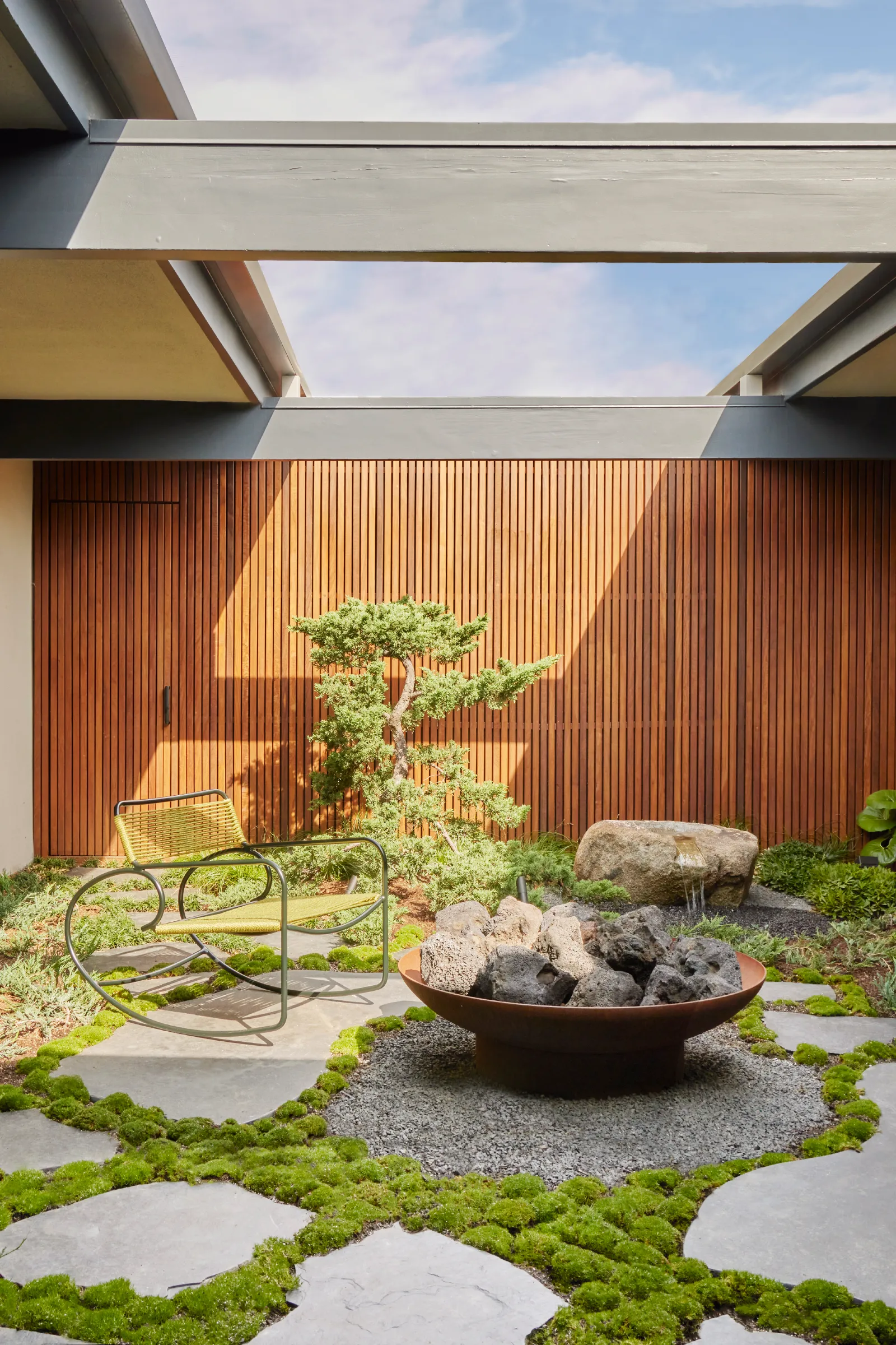 Sheltered residential garden with a specimen tree and timber screen